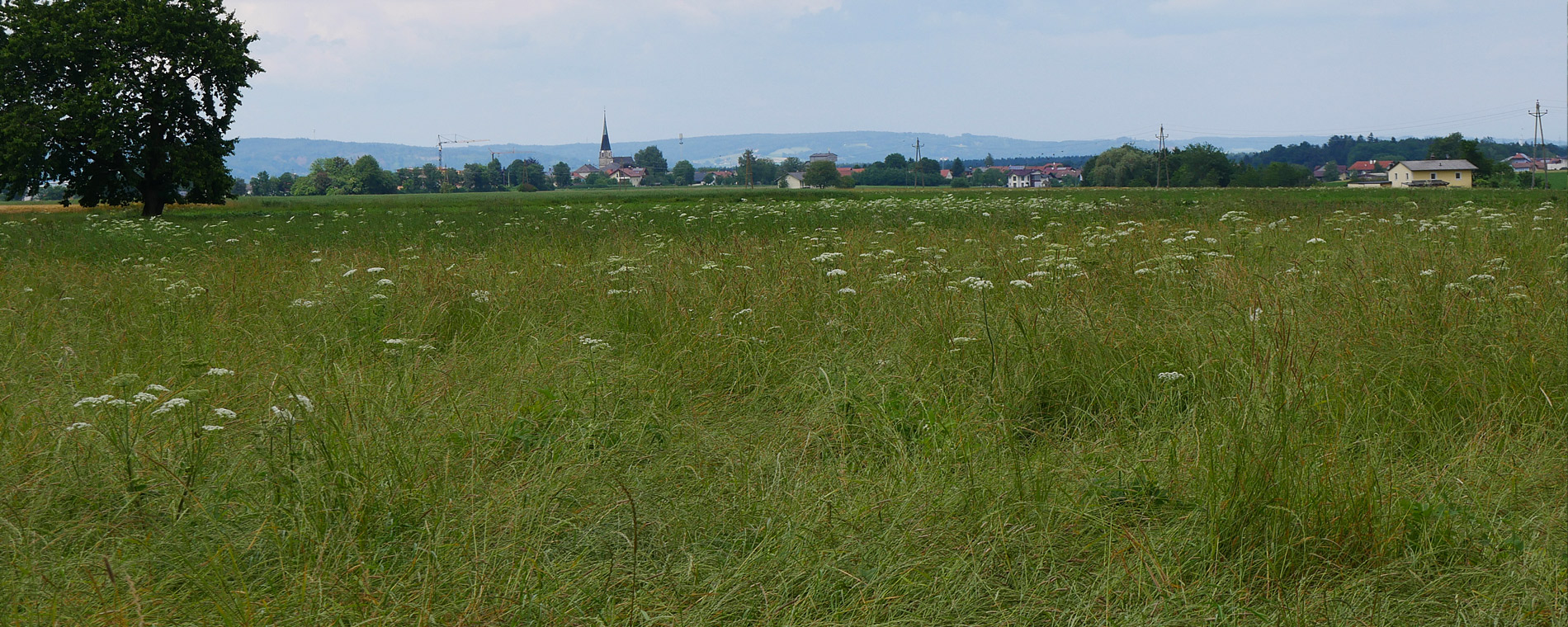 Schwand im Innkreis